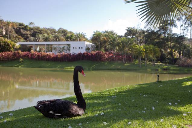 O Instituto Inhotim, em Brumadinho, reúne a maior coleção da arte contemporânea do país em um dos mais ricos jardins botânicos