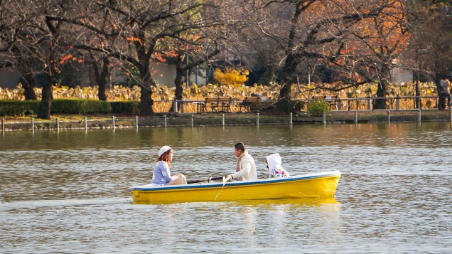 Ueno se encontra na área central de Tóquio e atrai milhares de visitantes não só por sua agradável área verde