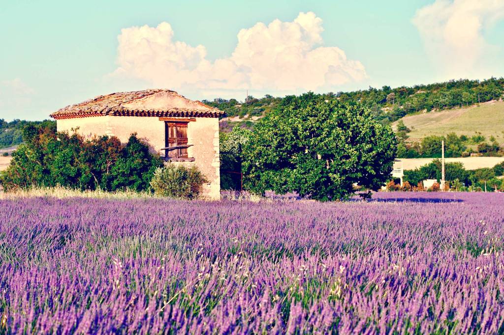 Provence - França