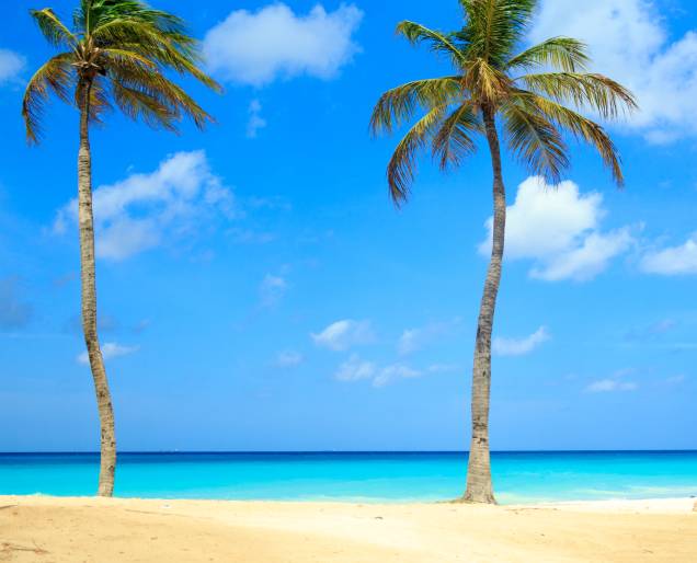 Coqueiros enfeitam o mar verde e azul de <a href="http://viajeaqui.abril.com.br/cidades/aruba-oranjestad" rel="Aruba" target="_blank"><strong>Aruba</strong></a>