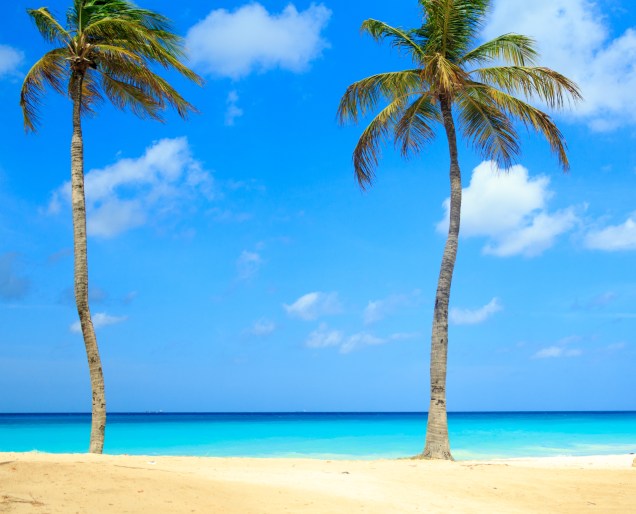 Coqueiros enfeitam o mar verde e azul de <a href="https://viajeaqui.abril.com.br/cidades/aruba-oranjestad" rel="Aruba" target="_blank"><strong>Aruba</strong></a>