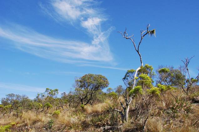 A caminho do <a href="https://viajeaqui.abril.com.br/estabelecimentos/br-mg-conceicao-do-ibitipoca-atracao-parque-estadual-do-ibitipoca" rel="Parque Estadual do Ibitipoca" target="_blank">Parque Estadual do Ibitipoca</a>, lembre-se de comprar o delicioso pão de canela de dona Maria, vendido na casa da própria, no lado esquerdo da estrada. É ótimo para reforçar o estômago quando a fome bater, no meio de uma trilha A caminho do <a href="https://viajeaqui.abril.com.br/estabelecimentos/br-mg-conceicao-do-ibitipoca-atracao-parque-estadual-do-ibitipoca" rel="Parque Estadual do Ibitipoca" target="_blank">Parque Estadual do Ibitipoca</a>, lembre-se de comprar o delicioso pão de canela de dona Maria, vendido na casa da própria, no lado esquerdo da estrada. É ótimo para reforçar o estômago quando a fome bater, no meio de uma trilha