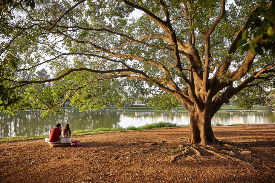 O Parque do Ibirapuera é tão grande que é possível encontrar cantinhos afastados da multidão, como na foto