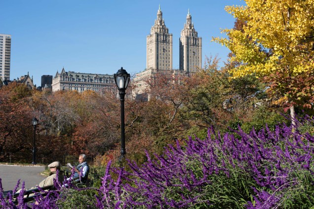 Estima-se que cerca de 40 milhões de pessoas passem pelo <a href="https://viajeaqui.abril.com.br/estabelecimentos/estados-unidos-nova-york-atracao-central-park" rel="Central Park" target="_blank">Central Park</a>, em <a href="https://viajeaqui.abril.com.br/cidades/estados-unidos-nova-york" rel="Nova York" target="_blank">Nova York</a>, todos os anos