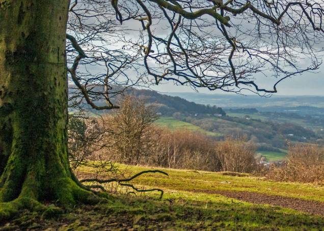 Cerca de 80% do território de Cotswolds é agrícola - o que dá ao lugar paisagens bucólicas de tirar o fôlego Cerca de 80% do território de Cotswolds é agrícola - o que dá ao lugar paisagens bucólicas de tirar o fôlego