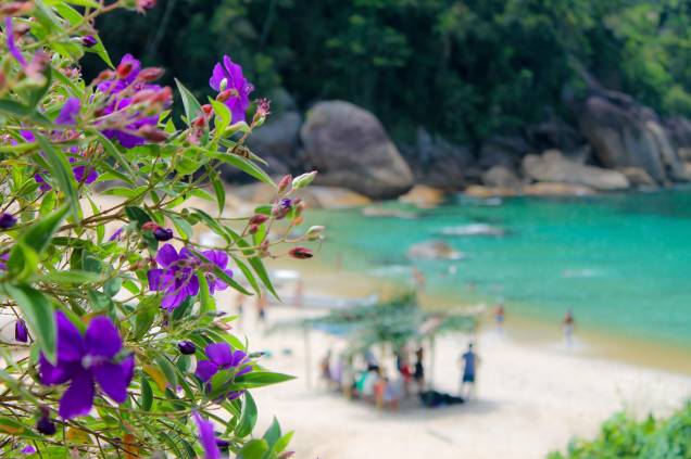 A <a href="https://viajeaqui.abril.com.br/estabelecimentos/br-rj-paraty-atracao-praia-da-ponta-negra" rel="praia de Ponta Negra" target="_blank">praia de Ponta Negra</a> fica na região da Praia do Sono e também é linda A <a href="https://viajeaqui.abril.com.br/estabelecimentos/br-rj-paraty-atracao-praia-da-ponta-negra" rel="praia de Ponta Negra" target="_blank">praia de Ponta Negra</a> fica na região da Praia do Sono e também é linda
