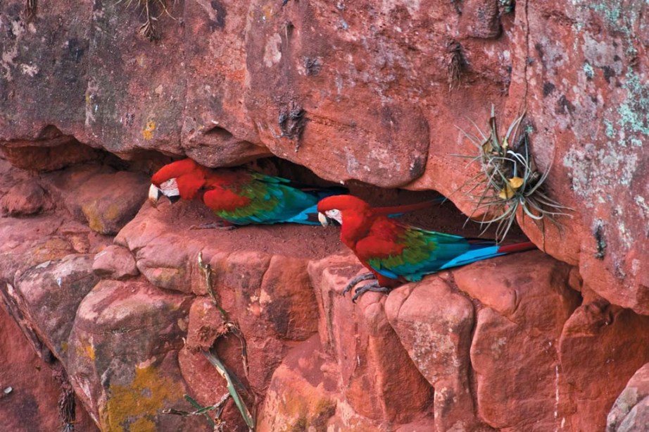 Araras vermelhas pintam os céus em revoadas no Buraco das Araras, em Bonito (MS), cidade vencedora do <strong>Prêmio VT 2012/2013</strong> pela 12 º vez consecutiva na categoria<strong> Melhor Destino de Ecoturismo do Brasil</strong>