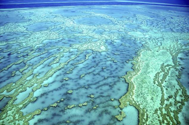 <a href="http://viajeaqui.abril.com.br/estabelecimentos/australia-cairns-atracao-grande-barreira-de-coral" rel="Grande Barreira de Corais (Austrália)" target="_blank"><strong>Grande Barreira de Corais (Austrália)</strong></a>                                        Cenário da famosa animação “Procurando Nemo”, a Grande Barreira de Corais é um complexo de 2.900 recifes e cerca de 900 ilhas que se estende por uma distância de 2.300 km ao longo do litoral noroeste da Austrália. No local, após colocar roupas de mergulho e saltar no mar, turistas se deleitam com mais de 400 tipos de corais (muitos deles extremamente coloridos), 30 mamíferos marinhos, seis espécies de tartarugas-marinhas e 1.400 espécies de peixe (como o peixe-palhaço, que inspirou o personagem principal de “Nemo”).