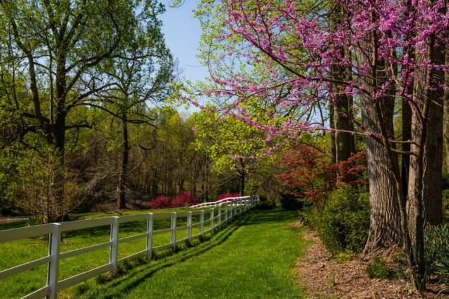 A primavera nos Estados Unidos é cheia de cores A primavera nos Estados Unidos é cheia de cores