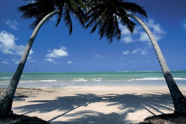 A Praia dos Carneiros reúne todos os atributos de uma praia paradisíaca: coqueirais, areia clara e mar verde-transparente