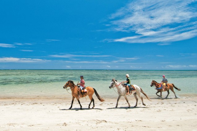<strong>Boipeba</strong><br />Cavalos na direção de Moreré, na Ilha de Boipeba