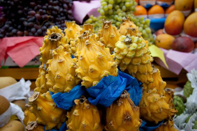 <strong>Pitaia Colombiana: </strong>uma espécie de cacto, a Pitaia colombiana tem propriedades digestivas e seu gosto é parecido com o do melão. A fruta costuma ser indicada para quem pretende regular o intestino <strong>Pitaia Colombiana: </strong>uma espécie de cacto, a Pitaia colombiana tem propriedades digestivas e seu gosto é parecido com o do melão. A fruta costuma ser indicada para quem pretende regular o intestino