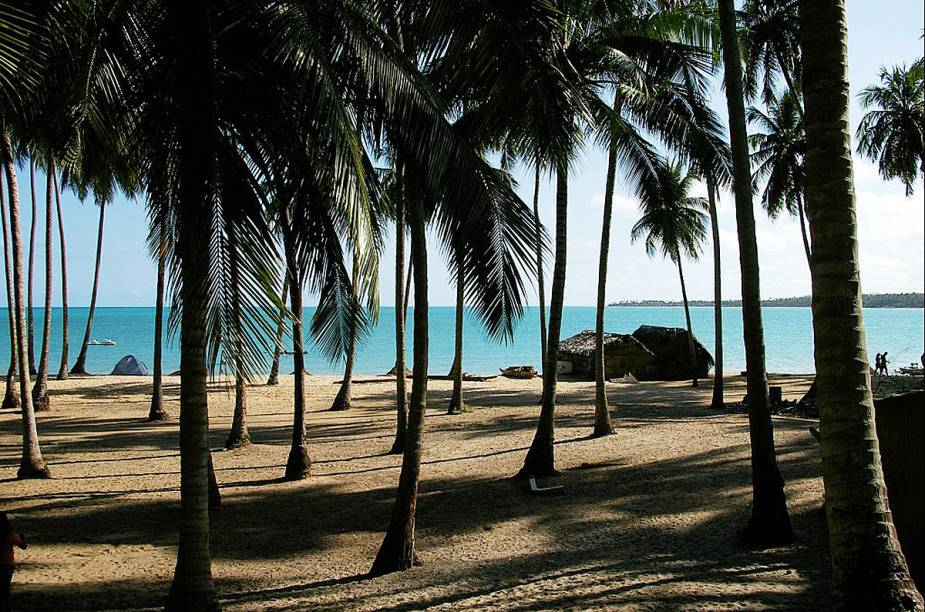 A Praia Bitingui, em Maragogi, é bem calma e reservada e ainda conta com coqueiros e um mar azul claro