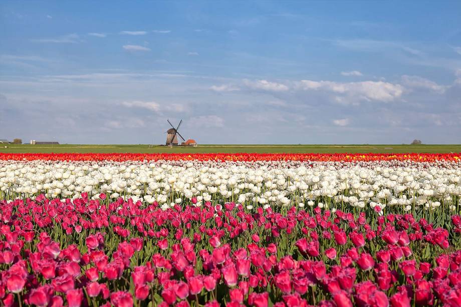Lisse, fica a cerca de 30 quilômetros de Amsterdã