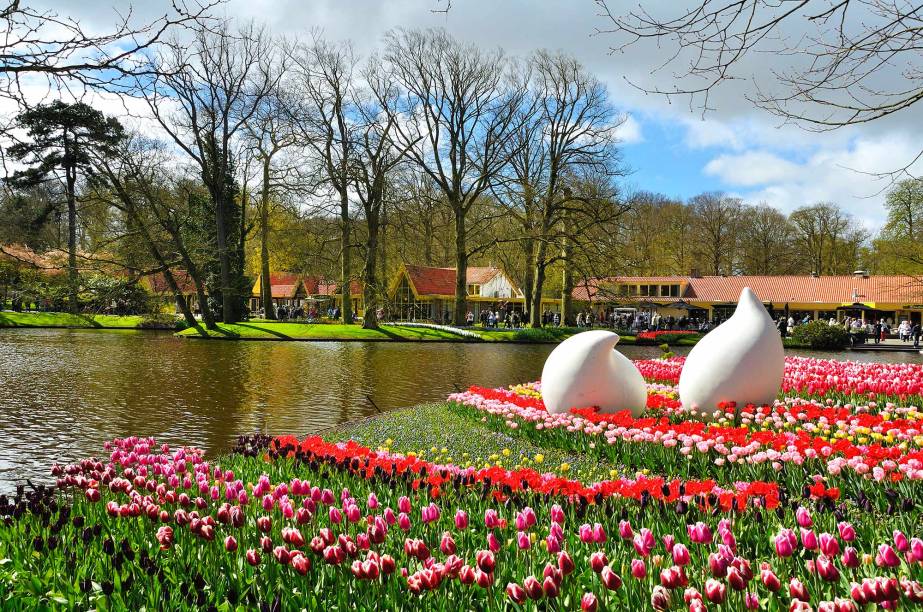 Além das tulipas, são exibidas 7 milhões de flores de várias espécies diferentes