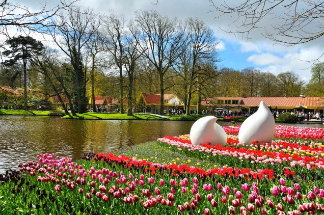 Além das tulipas, são exibidas 7 milhões de flores de várias espécies diferentes