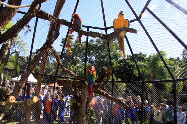<a href="https://viajeaqui.abril.com.br/estabelecimentos/br-pr-curitiba-atracao-zoologico-parque-regional-do-iguacu" rel="Zoológico (Parque Regional do Iguaçu):"><strong>Zoológico (Parque Regional do Iguaçu):</strong></a> abriga mais de três mil animais de cerca de 80 espécies – algumas em risco de extinção, como o lobo-guará e a harpia, uma rara ave de rapina. Rua João Miqueletto (Alto Boqueirão). De terça a domingo, das 09h às 17h