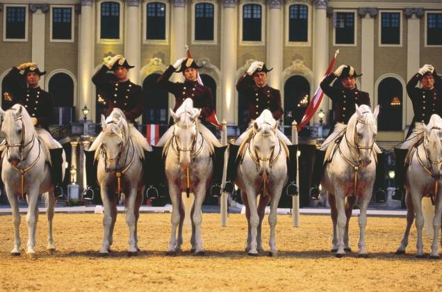 Apresentação da Escola Espanhola de Cavalaria no Palácio Schönbrunn