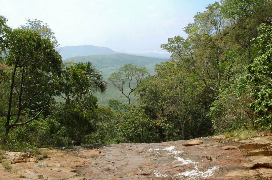 Urubu Rei, na Chapada Imperial