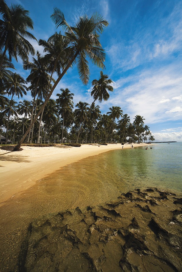 Os coqueiros na Praia dos Carneiros incrementam a paisagem e fazem uma boa sombra sobre a areia clara