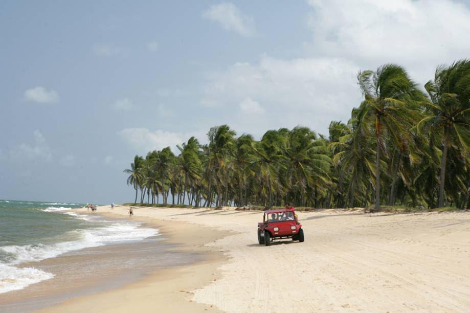 Uma das preferidas dos maceioenses, a Praia do Gunga lembra uma península, com mar de um lado e a Lagos do Roteiro do outro. No meio, muitos coqueiros