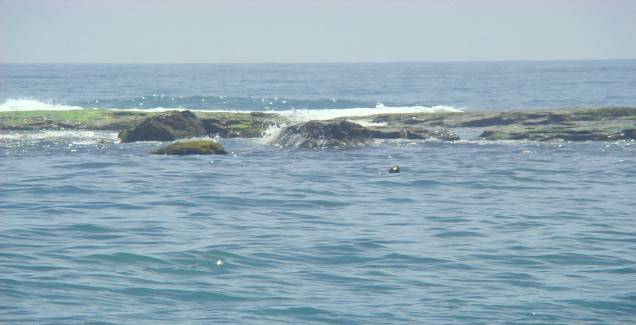 <strong><a href="https://viajeaqui.abril.com.br/estabelecimentos/br-rs-torres-atracao-de-barco-ate-a-ilha-dos-lobos" rel="Ilha dos Lobos" target="_self">Ilha dos Lobos</a>, <a href="https://viajeaqui.abril.com.br/cidades/br-rs-torres" rel="Torres" target="_self">Torres</a></strong>Lobos e leões-marinhos dão o ar da graça no mar da região – e encantam as crianças. O passeio de barco por aqui, aliás, é a opção ideal para famílias com crianças<em><a href="https://www.booking.com/city/br/torres-br.pt-br.html?aid=332455&label=viagemabril-praias-do-rio-grande-do-sul" rel="Veja preços de hotéis em Torres no Booking.com" target="_blank">Veja preços de hotéis em Torres no Booking.com</a></em> <strong><a href="https://viajeaqui.abril.com.br/estabelecimentos/br-rs-torres-atracao-de-barco-ate-a-ilha-dos-lobos" rel="Ilha dos Lobos" target="_self">Ilha dos Lobos</a>, <a href="https://viajeaqui.abril.com.br/cidades/br-rs-torres" rel="Torres" target="_self">Torres</a></strong>Lobos e leões-marinhos dão o ar da graça no mar da região – e encantam as crianças. O passeio de barco por aqui, aliás, é a opção ideal para famílias com crianças<em><a href="https://www.booking.com/city/br/torres-br.pt-br.html?aid=332455&label=viagemabril-praias-do-rio-grande-do-sul" rel="Veja preços de hotéis em Torres no Booking.com" target="_blank">Veja preços de hotéis em Torres no Booking.com</a></em>