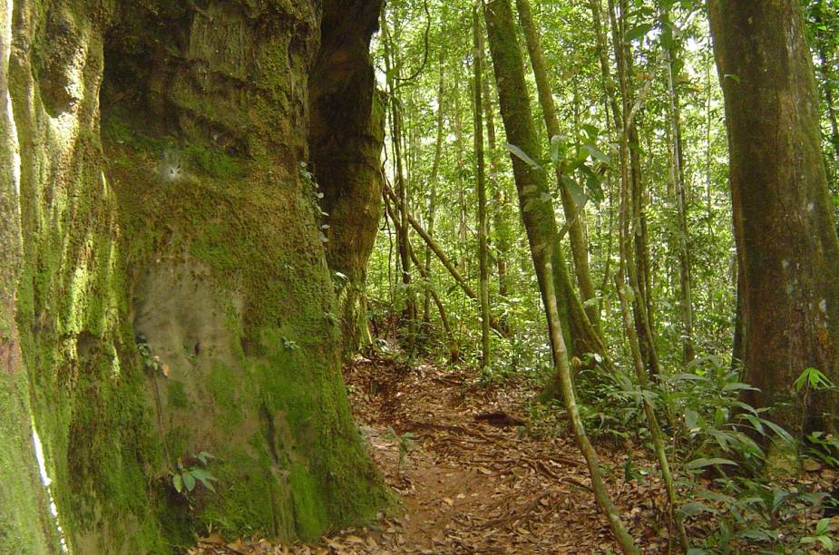 Na trilha para a Cachoeira da Iracema, é possível avistar pitorescas rochas