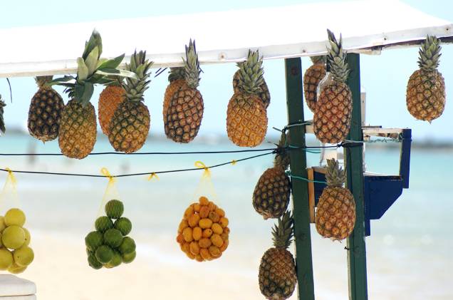 É comum ver barraquinhas vendendo frutas no caminho de Maceió até Barra de São Miguel 