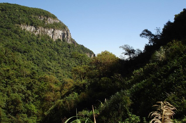 A trilha para a cachoeira é rodeada por vegetação nativa