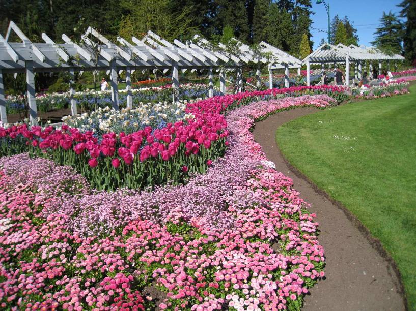 Roseiral no Stanley Park