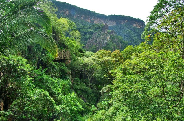 A comprida Cachoeira do Gavião é a paisagem mais conhecida do parque