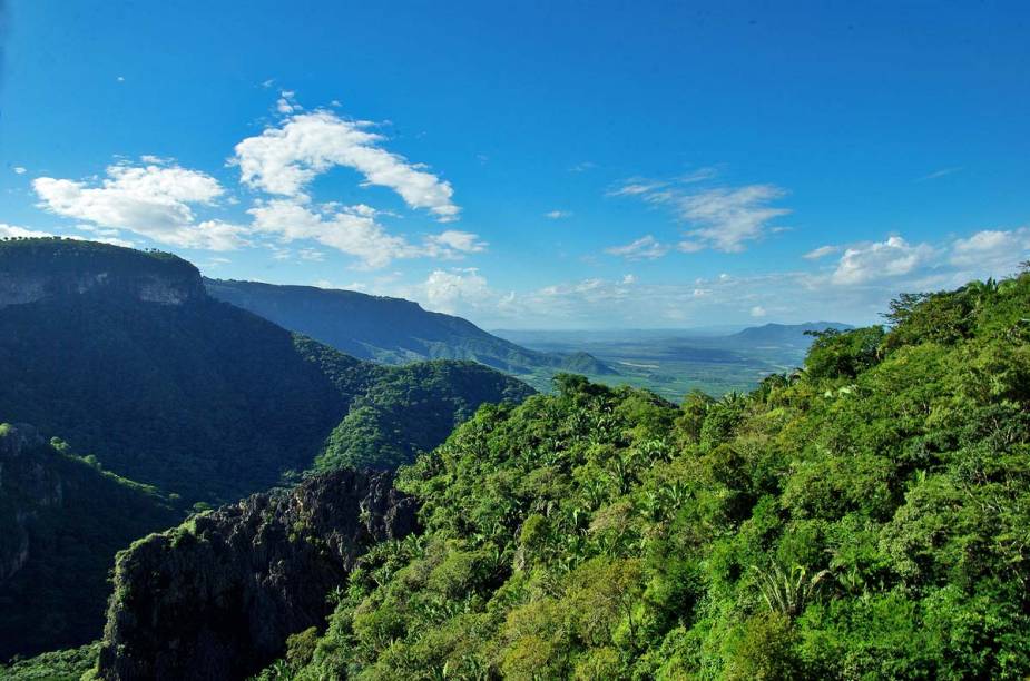 Com um clima de serra, mas com jeito de caatinga, a temperatura média anual do parque fica entre 20 e 22º