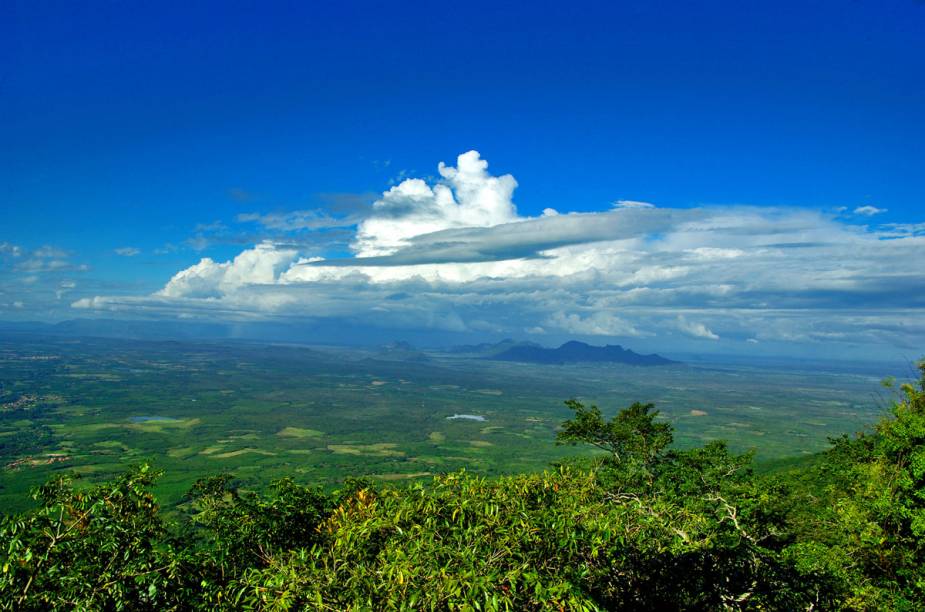 O Parque Nacional de Ubajara, no Ceará, contem dois ecossistemas diferentes - de mata úmida e mata seca