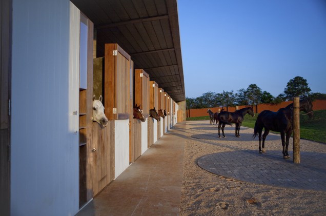 Área de equitação é preparada para os iniciantes e experientes 