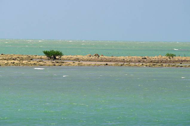 Na maré baixa, dá para caminhar 3 km mar adentro e relaxar em uma piscina natural na <a href="https://viajeaqui.abril.com.br/estabelecimentos/br-pi-barra-grande-atracao-barra-grande" rel="praia Barra Grande" target="_blank">praia Barra Grande</a> Na maré baixa, dá para caminhar 3 km mar adentro e relaxar em uma piscina natural na <a href="https://viajeaqui.abril.com.br/estabelecimentos/br-pi-barra-grande-atracao-barra-grande" rel="praia Barra Grande" target="_blank">praia Barra Grande</a>
