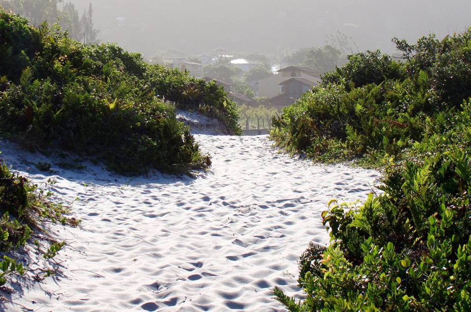 Caminho até a Praia Campeche,Florianópolis Caminho até a Praia Campeche,Florianópolis