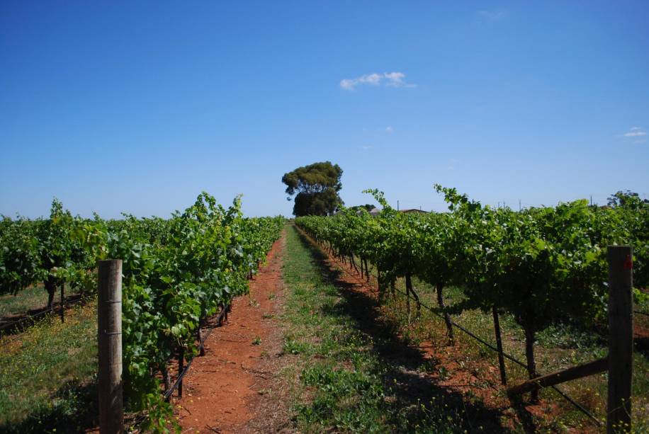 Coonawarra
