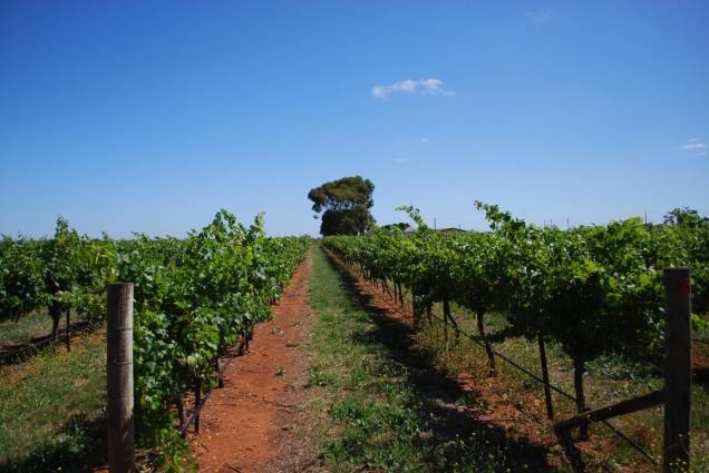 Coonawarra Coonawarra
