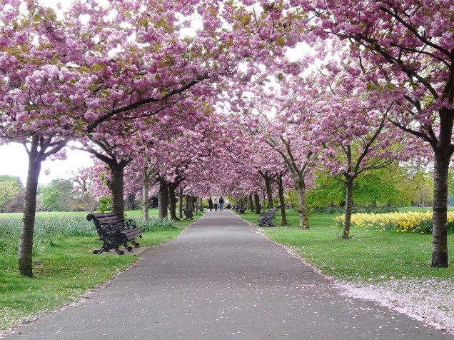 Greenwich Park na primavera