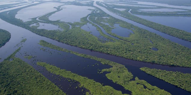 Vista aérea do Arquipélado de Anavilhanas, na Floresta Amazônica - onde fica a região do hotel