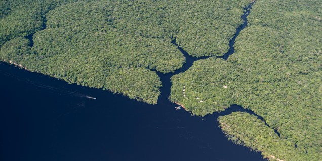 Vista aérea do Arquipélado de Anavilhanas, na Floresta Amazônica