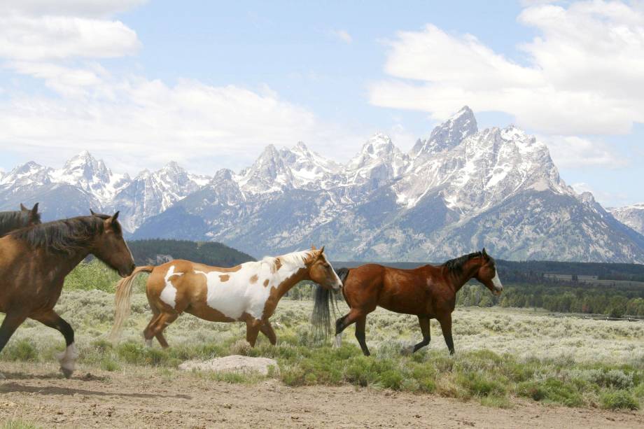 O resort de Jackson Hole, que fica perto do parque de Yellowstone, tem um legítimo clima country