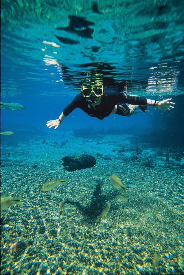 A flutuação no <a href="http://riodaprata.com.br/" target="_blank" rel="noopener"><strong>Rio da Prata</strong></a>, aquário natural gigante e de água claríssima, é uma das atrações principais de Bonito