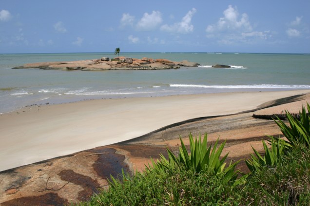 Ilha do Coqueiro Solitário, em Tamandaré, é cercada por águas calmas e transparentes