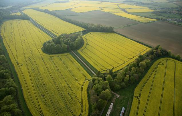 De cima de um balão, a vista que se tem dos campos agrícolas de Cotswolds é esta De cima de um balão, a vista que se tem dos campos agrícolas de Cotswolds é esta