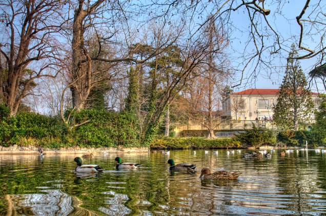 Patos nadam tranquilamente nas águas do parc de la Maison Blanche, em <a href="https://viajeaqui.abril.com.br/cidades/franca-marselha/" rel="Marselha">Marselha</a>, <a href="https://viajeaqui.abril.com.br/paises/franca" rel="França" target="_self">França</a> Patos nadam tranquilamente nas águas do parc de la Maison Blanche, em <a href="https://viajeaqui.abril.com.br/cidades/franca-marselha/" rel="Marselha">Marselha</a>, <a href="https://viajeaqui.abril.com.br/paises/franca" rel="França" target="_self">França</a>