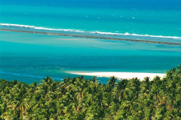Na Praia do Gunga, os turistas podem aproveitar as lagoas, as falésias ou uma sombra embaixo do coqueiral