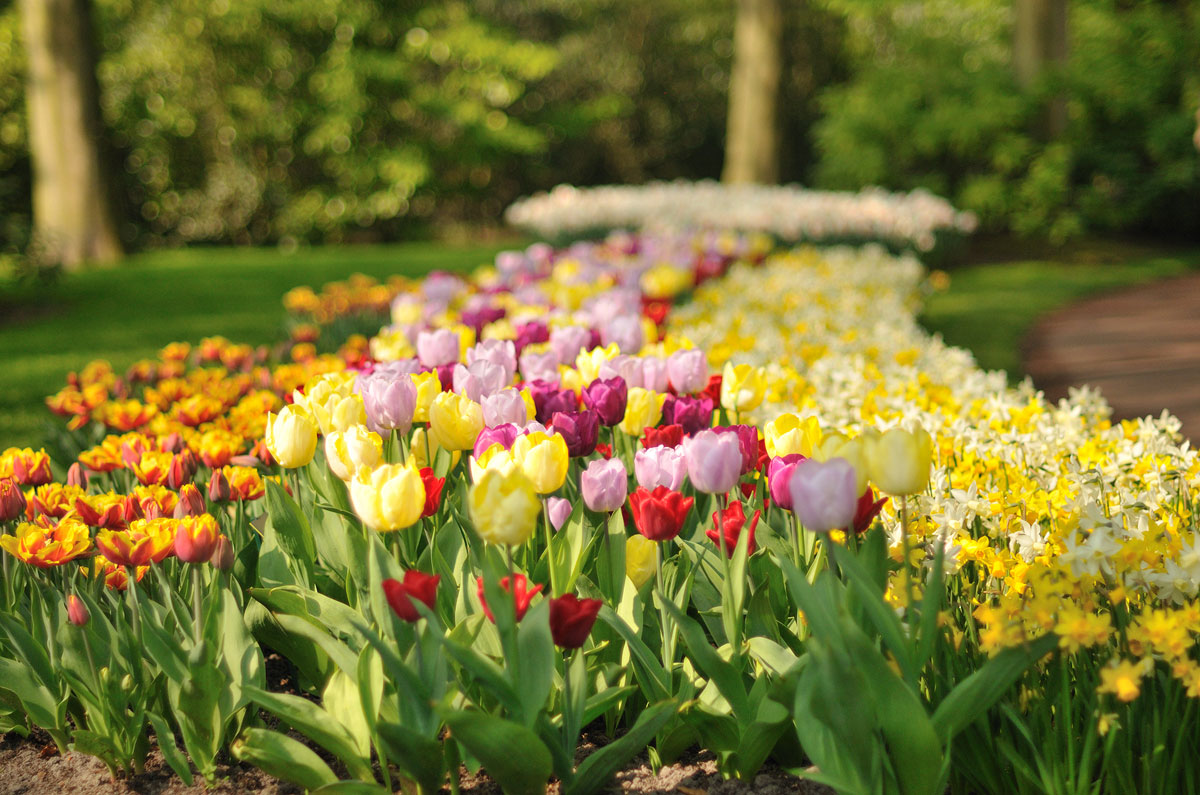 Parque Keukenhof, em Lisse, Amsterdã, Holanda