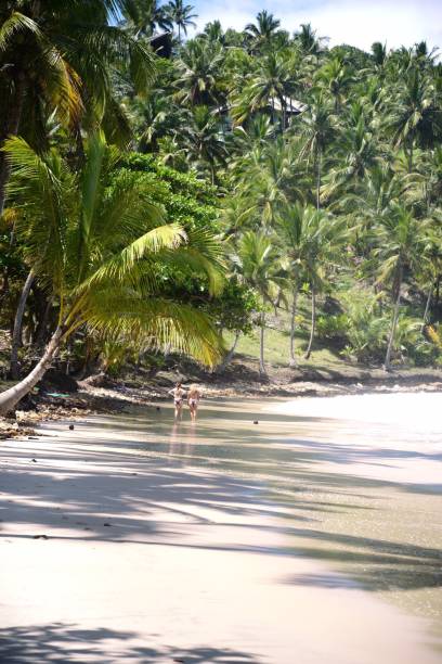 Porque vale a pena estar aqui Porque vale a pena estar aqui