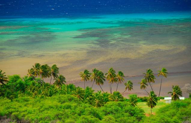 <strong>2. Maui - Havaí, EUA</strong> A ilha no Havaí é um dos destinos preferidos dos amantes de ecoturismo. Além das praias paradisíacas, as cachoeiras também são opção de passeio <strong>2. Maui - Havaí, EUA</strong> A ilha no Havaí é um dos destinos preferidos dos amantes de ecoturismo. Além das praias paradisíacas, as cachoeiras também são opção de passeio